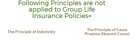 Universal Insurance Principles